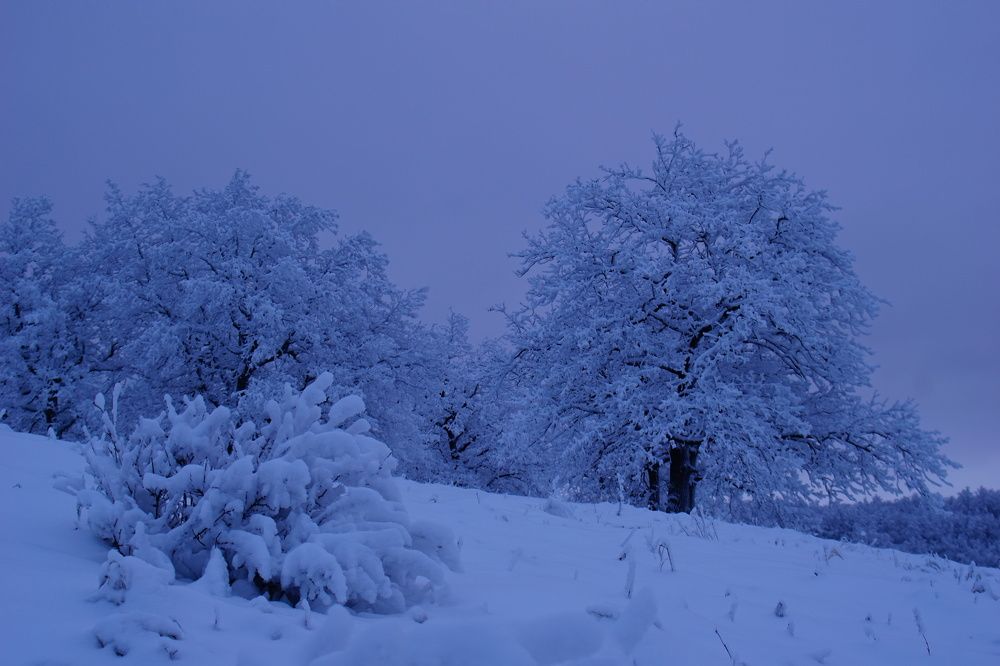 Photograph by Александр Кизим