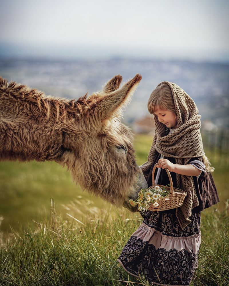 Photograph by Светлана Стрижакова