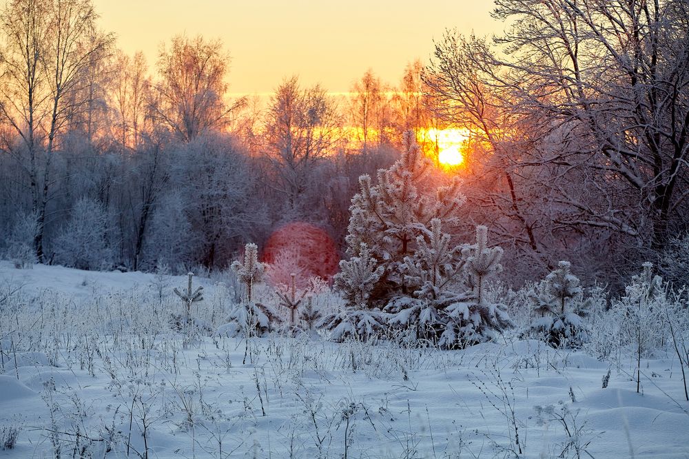 Photograph by Николай Голованов