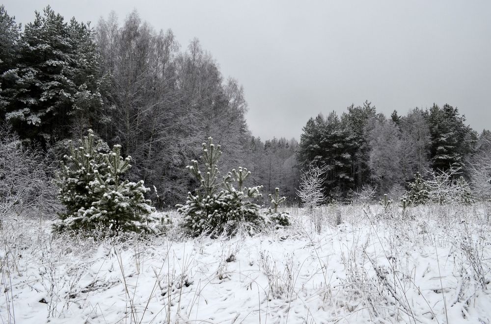 Photograph by Николай Соколовский