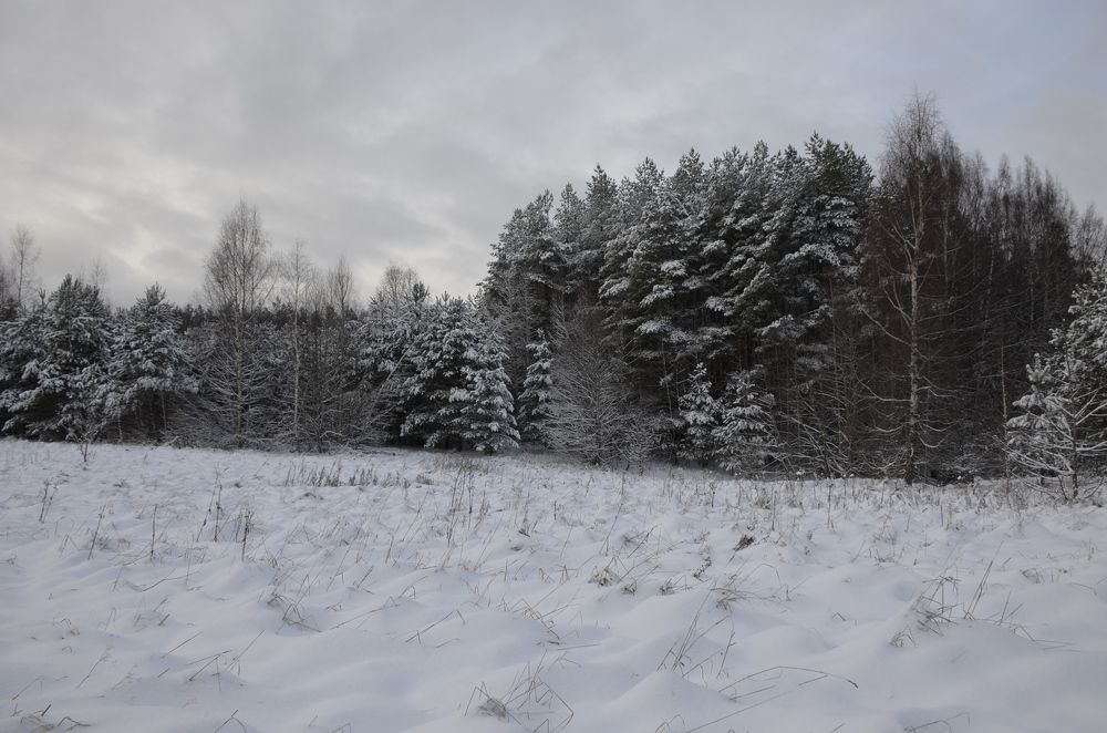 Photograph by Николай Соколовский