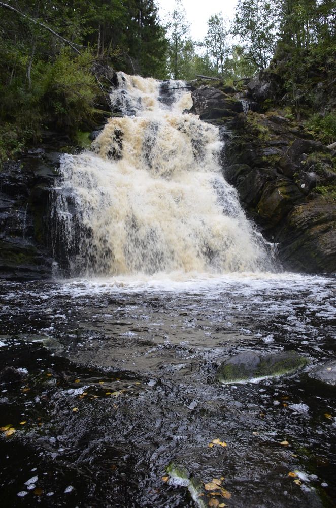 Photograph by Николай Соколовский