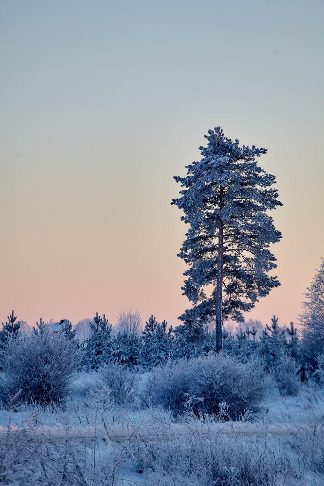 Photograph by Николай Голованов