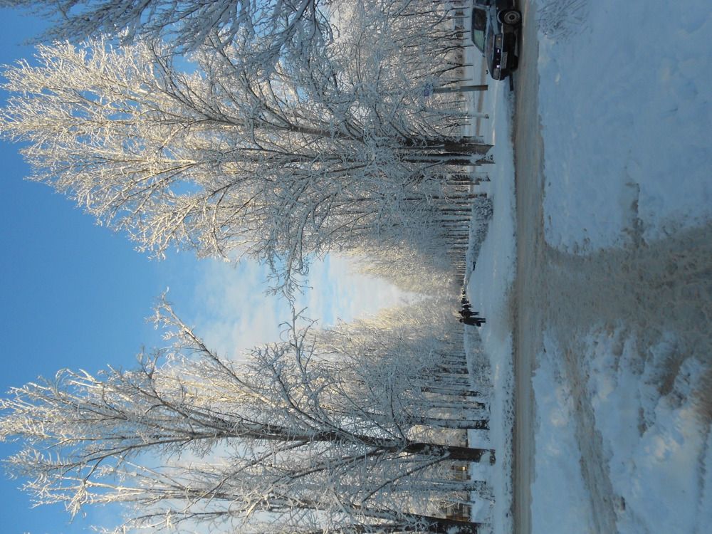 Photograph by Любовь Панфилова