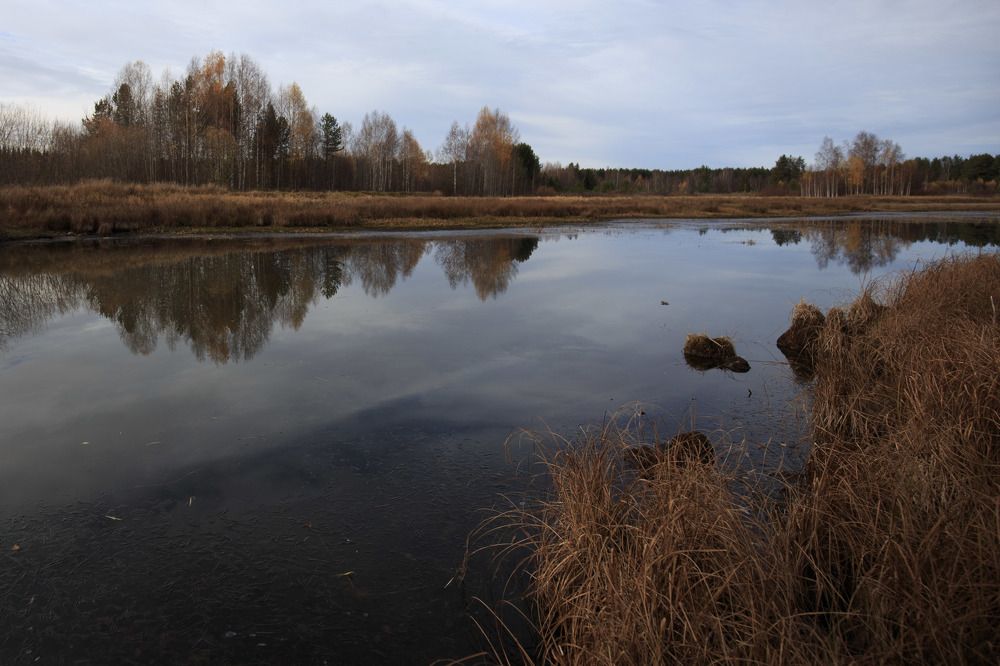 Photograph by Елена Хорохорина