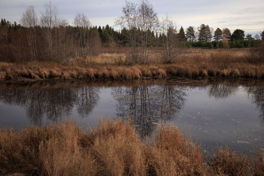 Photograph by Елена Хорохорина