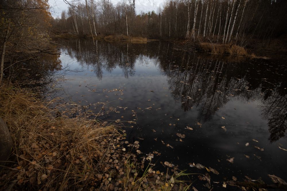 Photograph by Елена Хорохорина