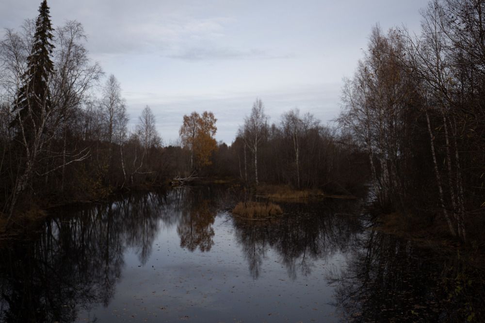 Photograph by Елена Хорохорина