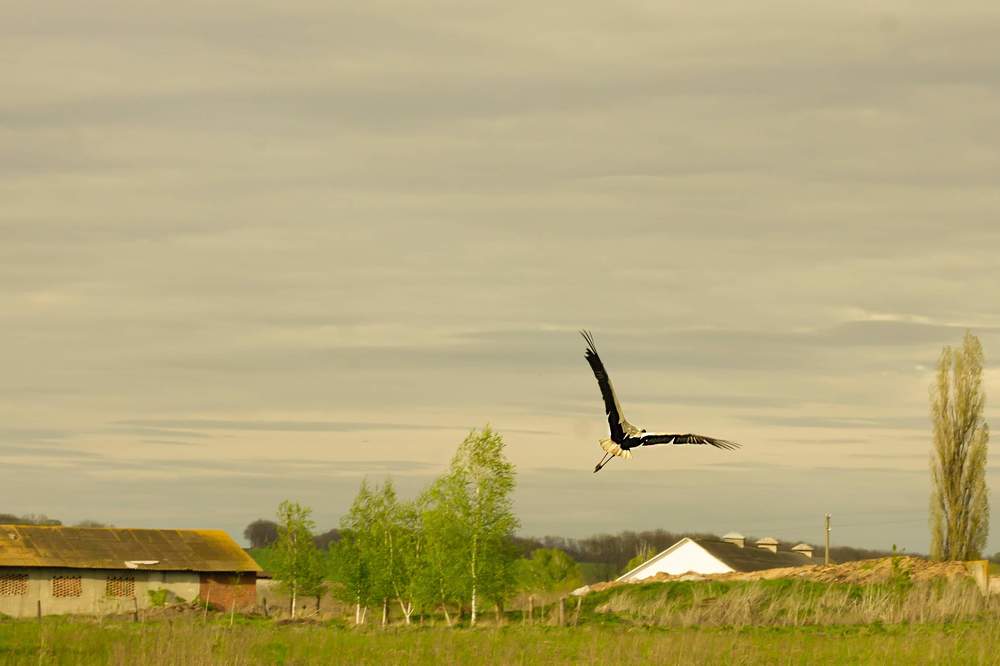 Photograph by Дарья Ващенко-Панкина