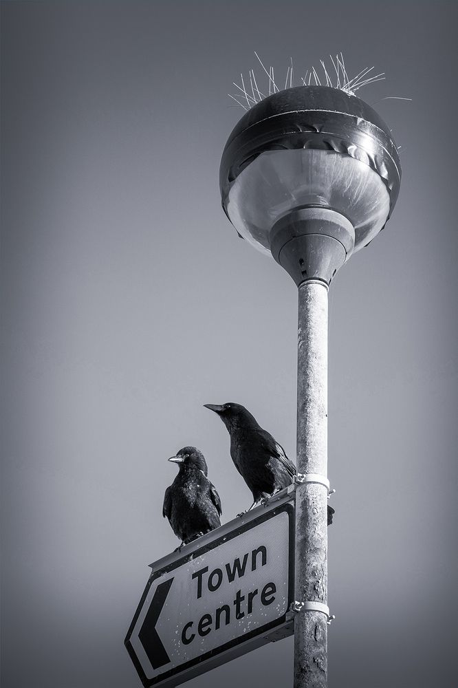 Photograph by Normunds Kaprano