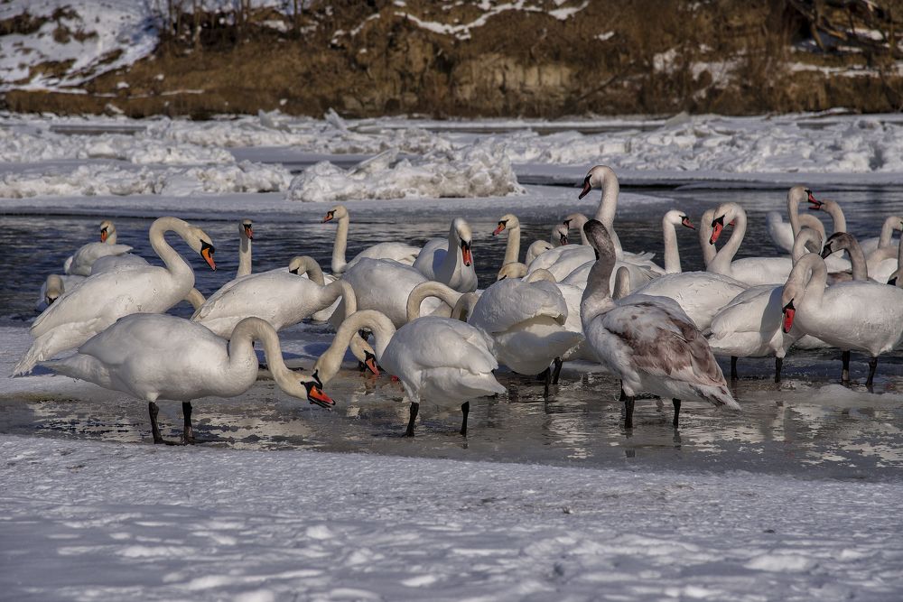 Photograph by Давид Тетельман