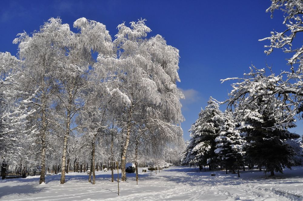 Photograph by Заурбек Шахмурзаев