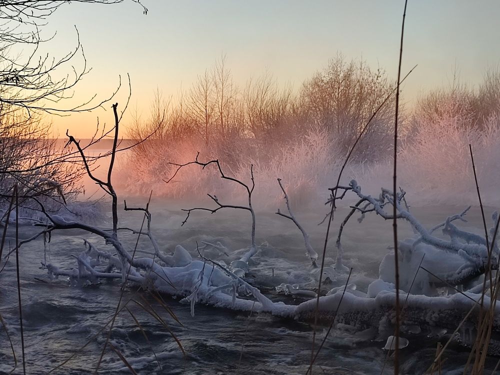 Photograph by Юлия Гинтер