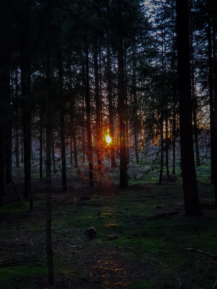 Photograph by Leons Duvakins