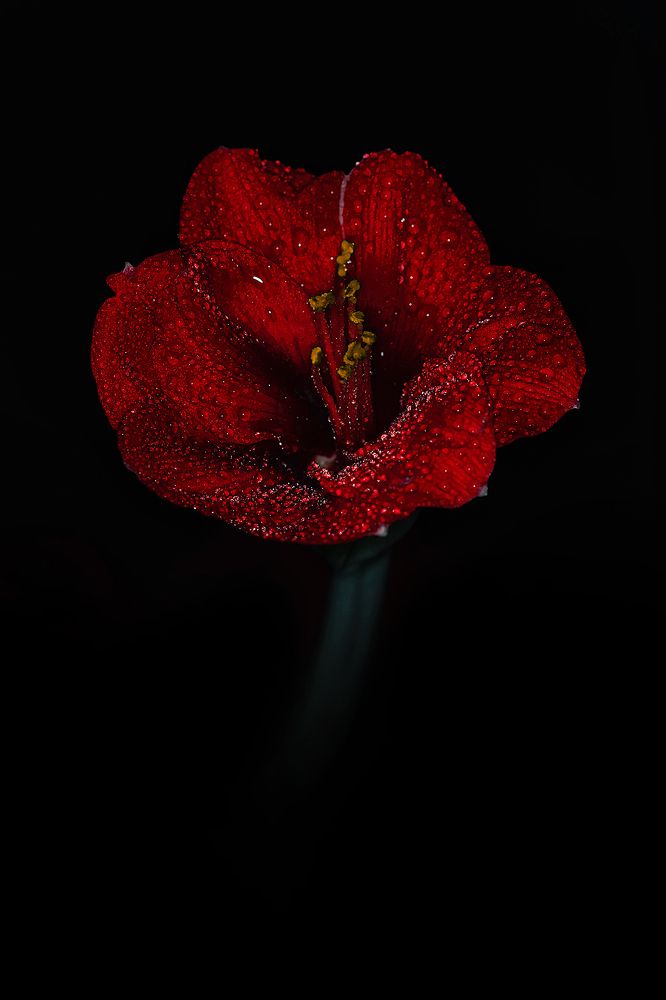 Photograph by Наталья Антипас