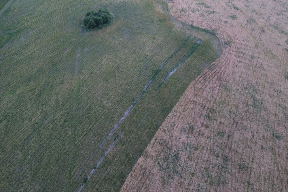 Фотография автора Елена Колосова
