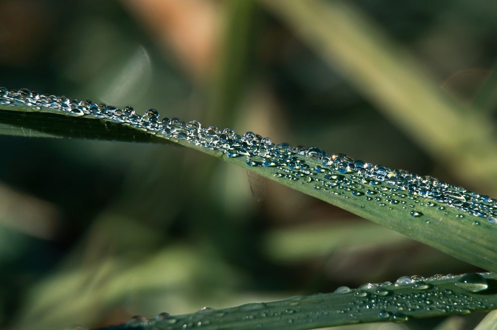 Photograph by Наталья Быстрая