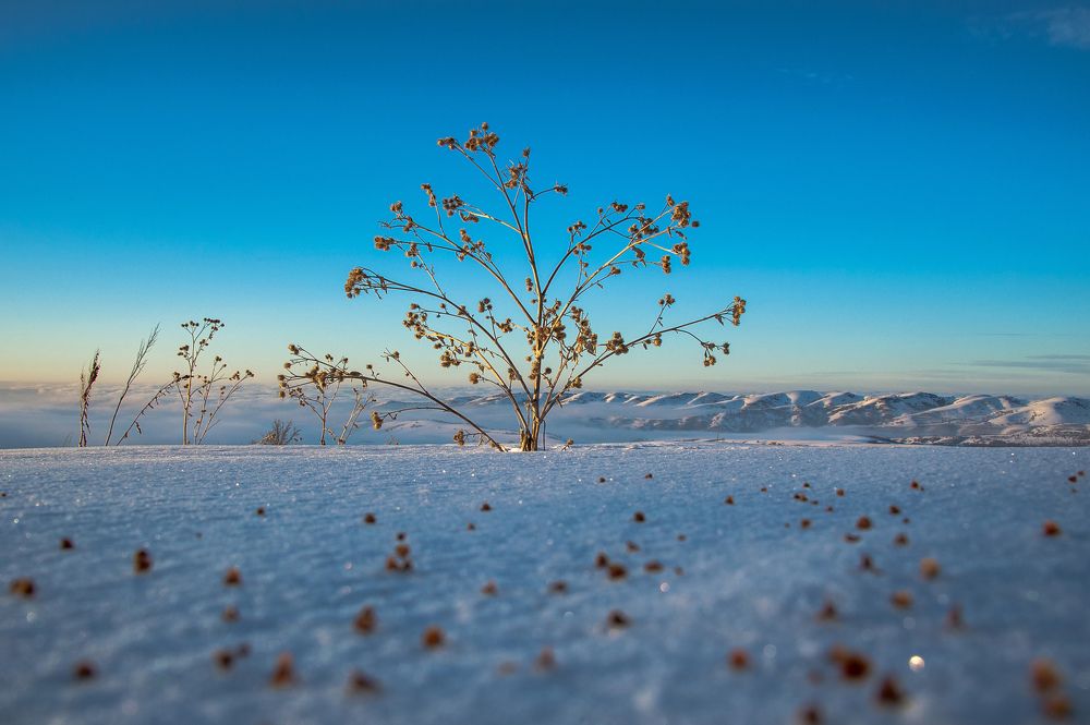 Photograph by Равиль