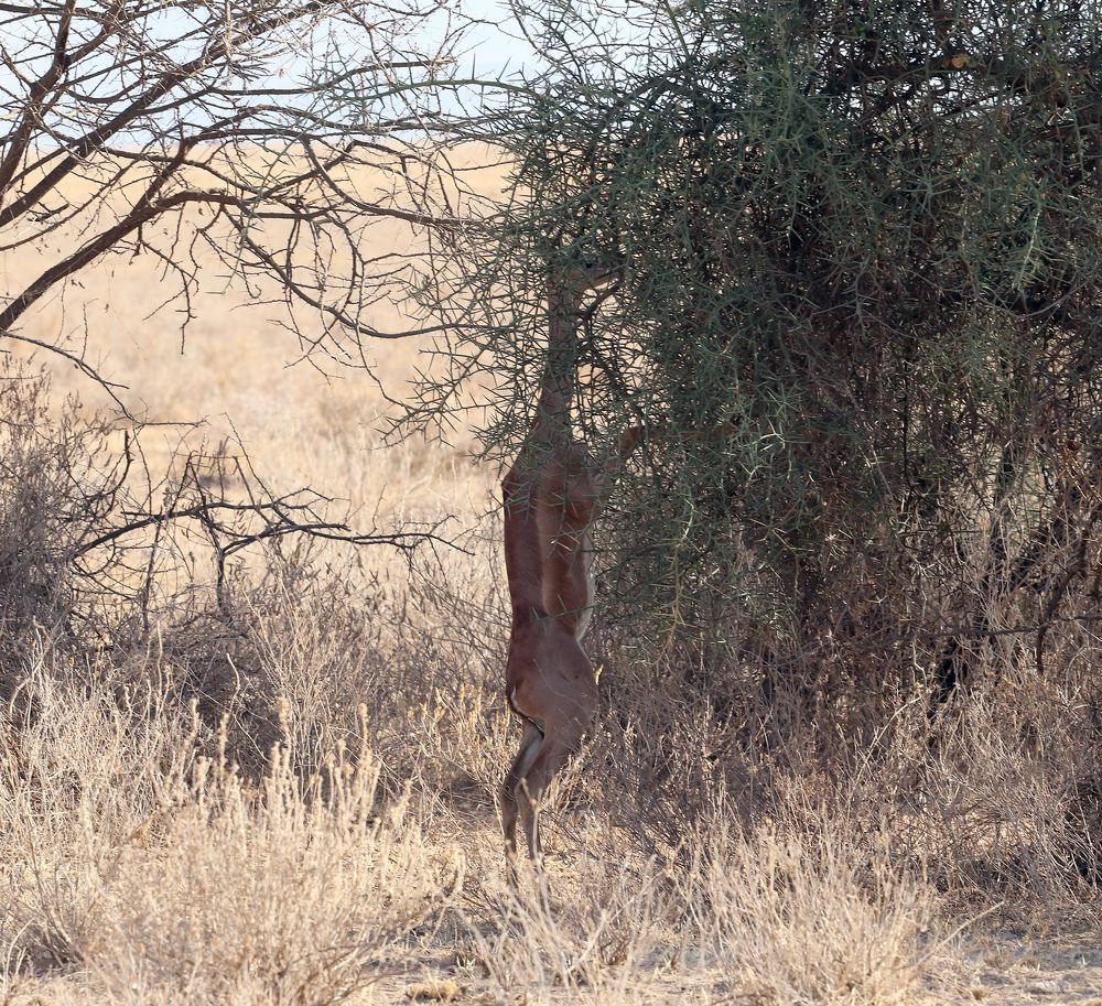 Photograph by Елена Врублевская