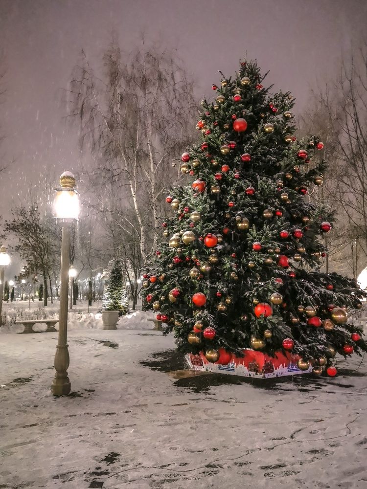 Photograph by Наталья Владимировна
