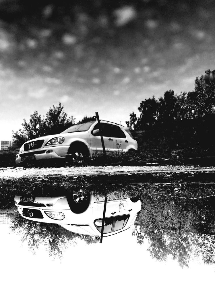 Photograph by Елена Швецова