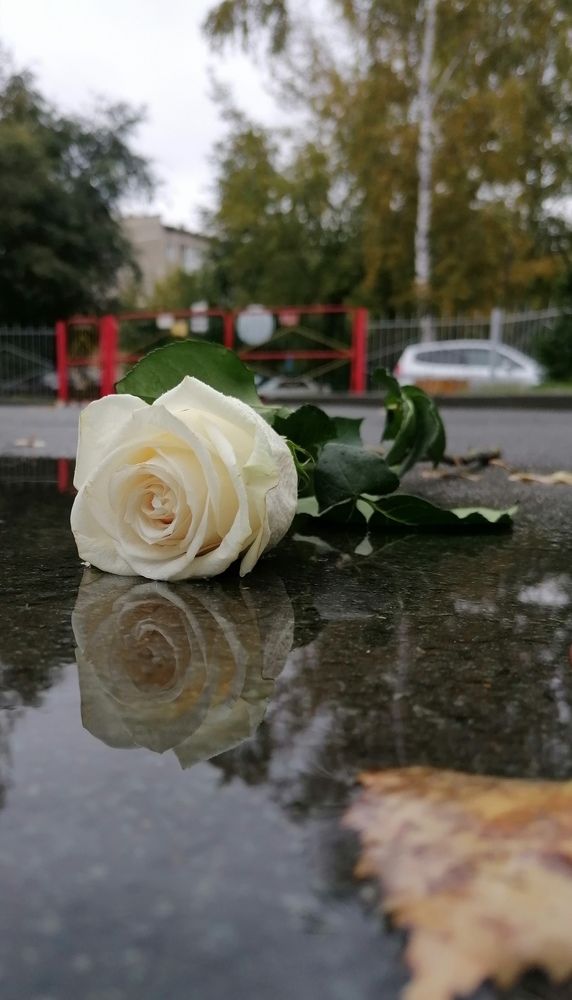 Photograph by Елена Швецова