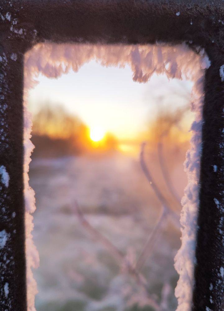 Photograph by Юлия Гинтер