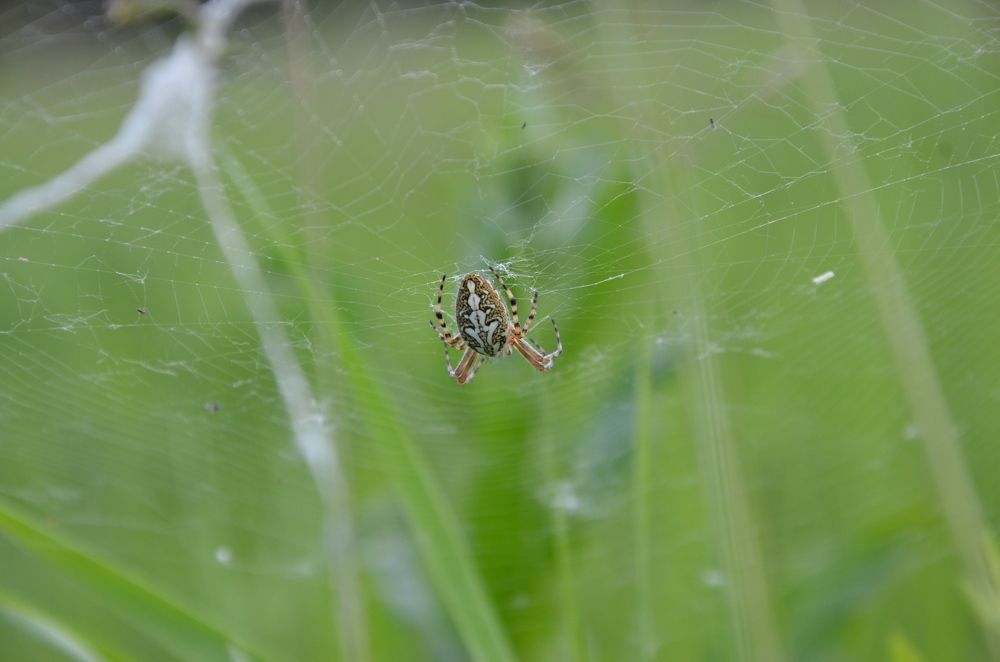 Photograph by Ольга Зиновьева