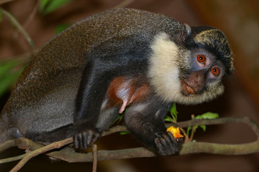 Photograph by Joël KIKI