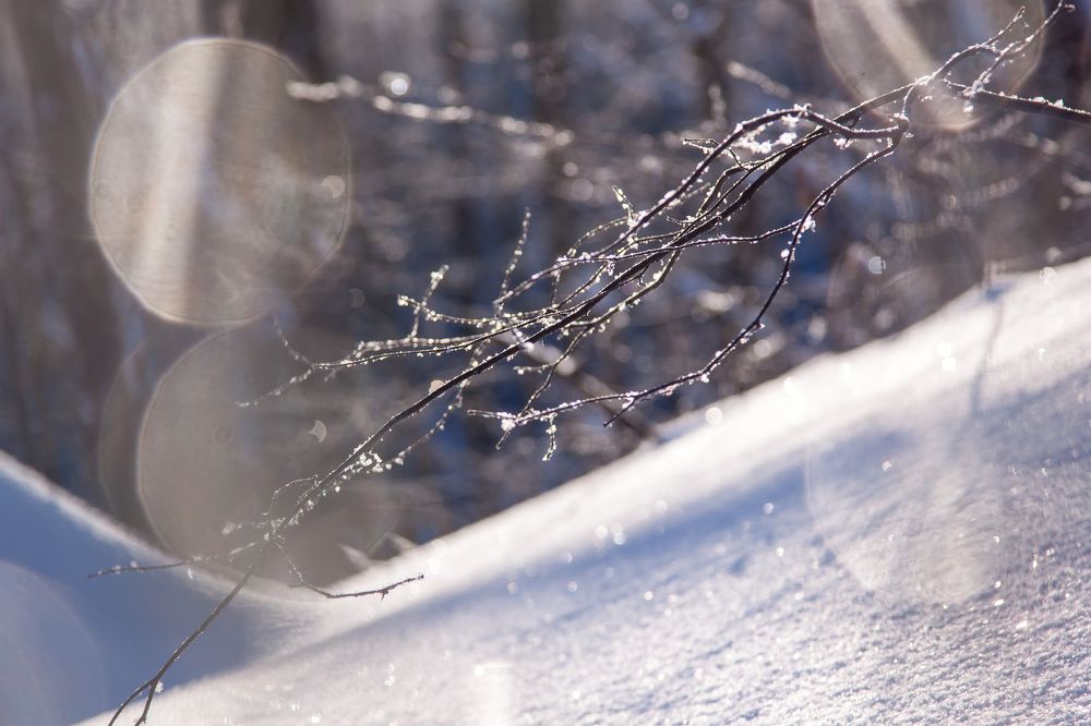 Бриллианты зимы