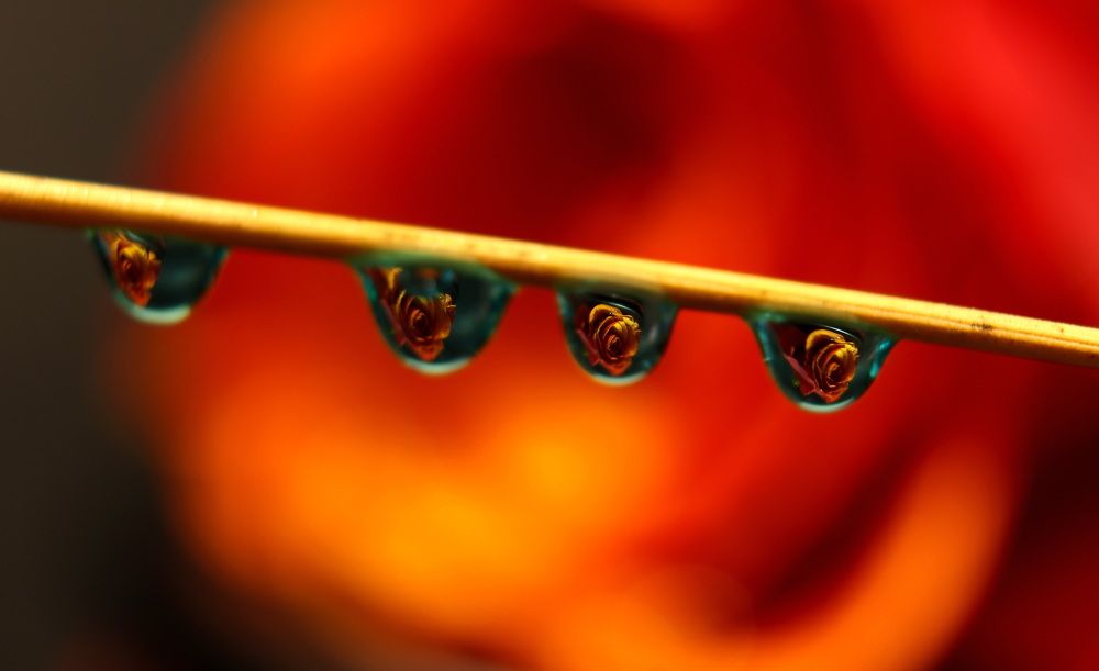 Photograph by Carla Almeida