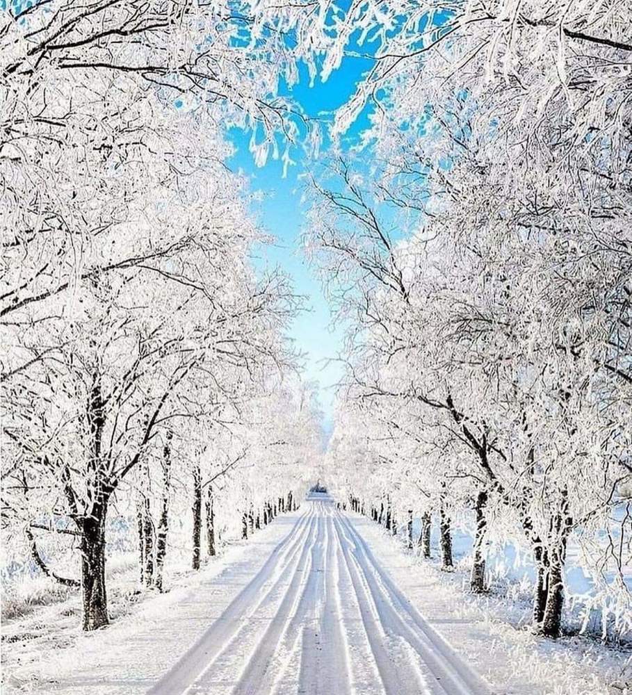 Photograph by Ламара Авалишвили