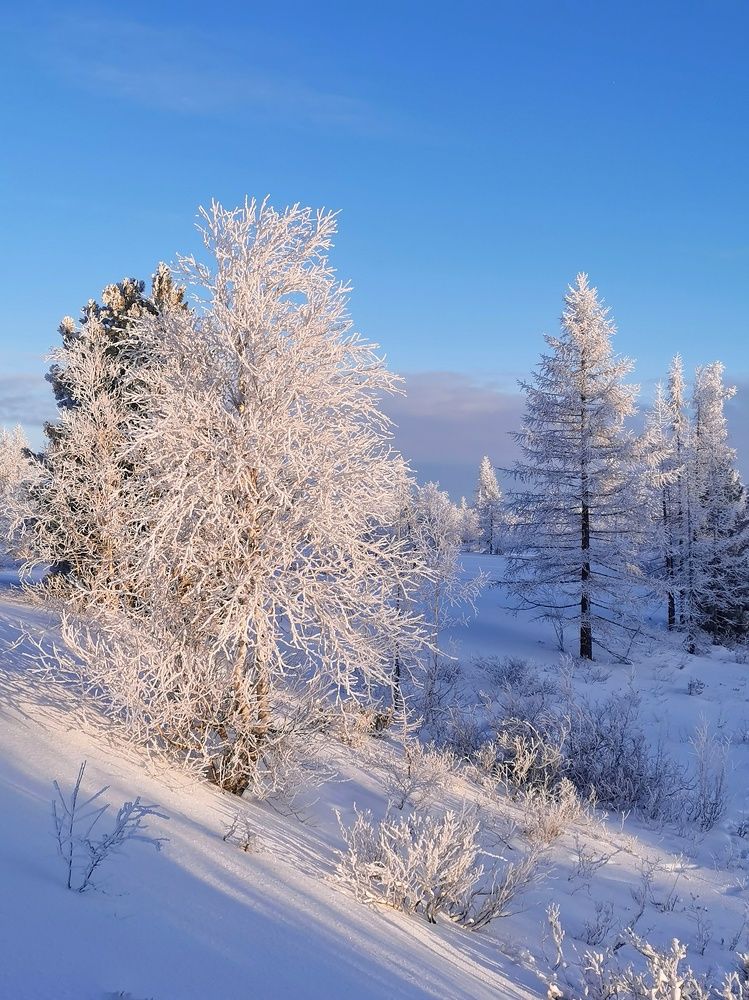 Photograph by Юлия Арестова