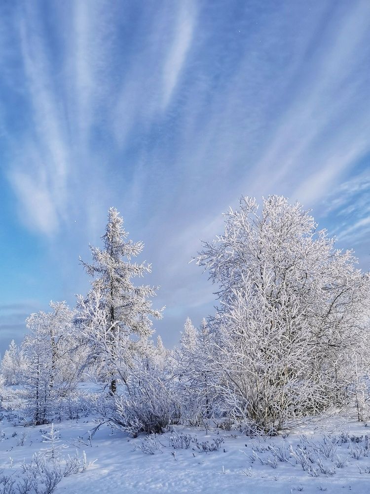 Photograph by Юлия Арестова