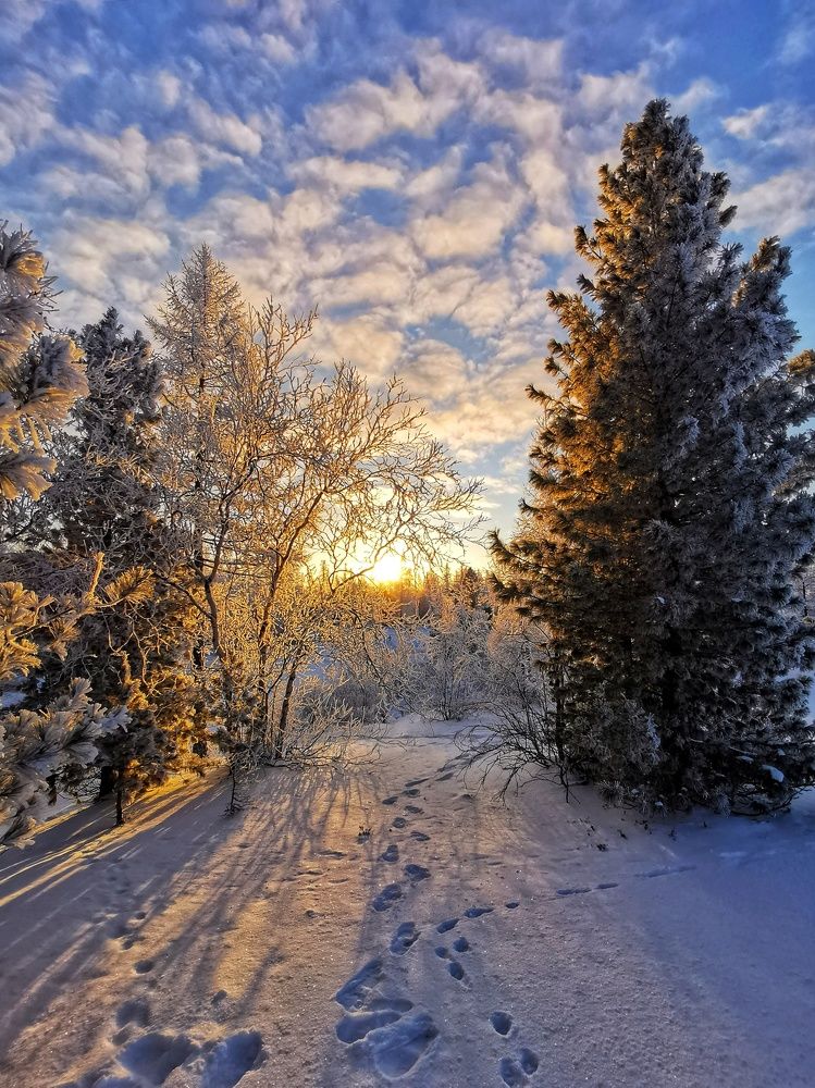 Зимний пейзаж.