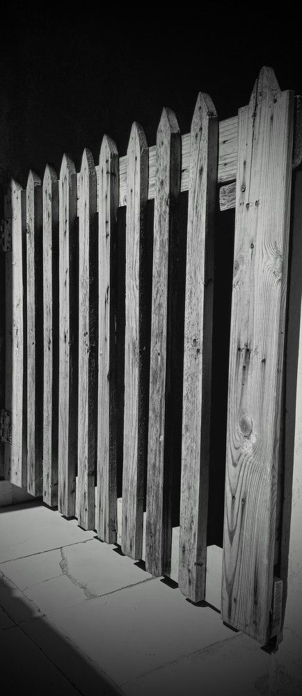 Photograph by Anamary Suarez Ortega