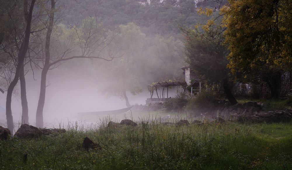 Photograph by Radojko Boskovic