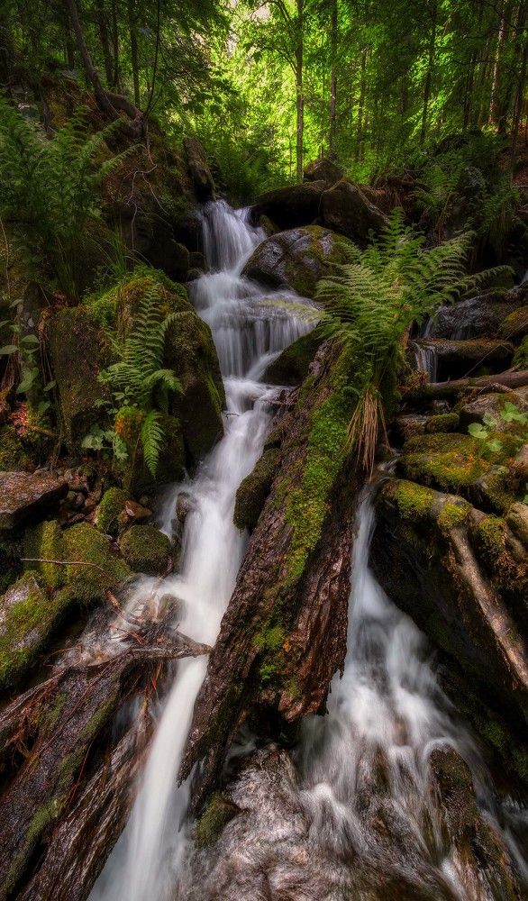 Фотография автора Stanislav Yendrek