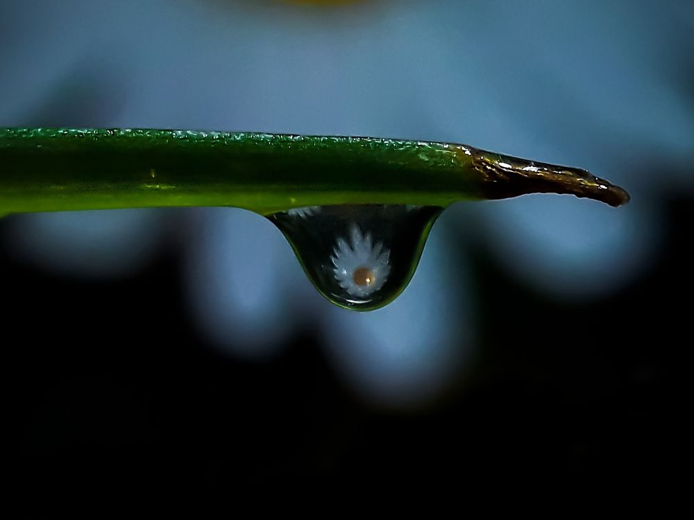 Photograph by Shubhra Das