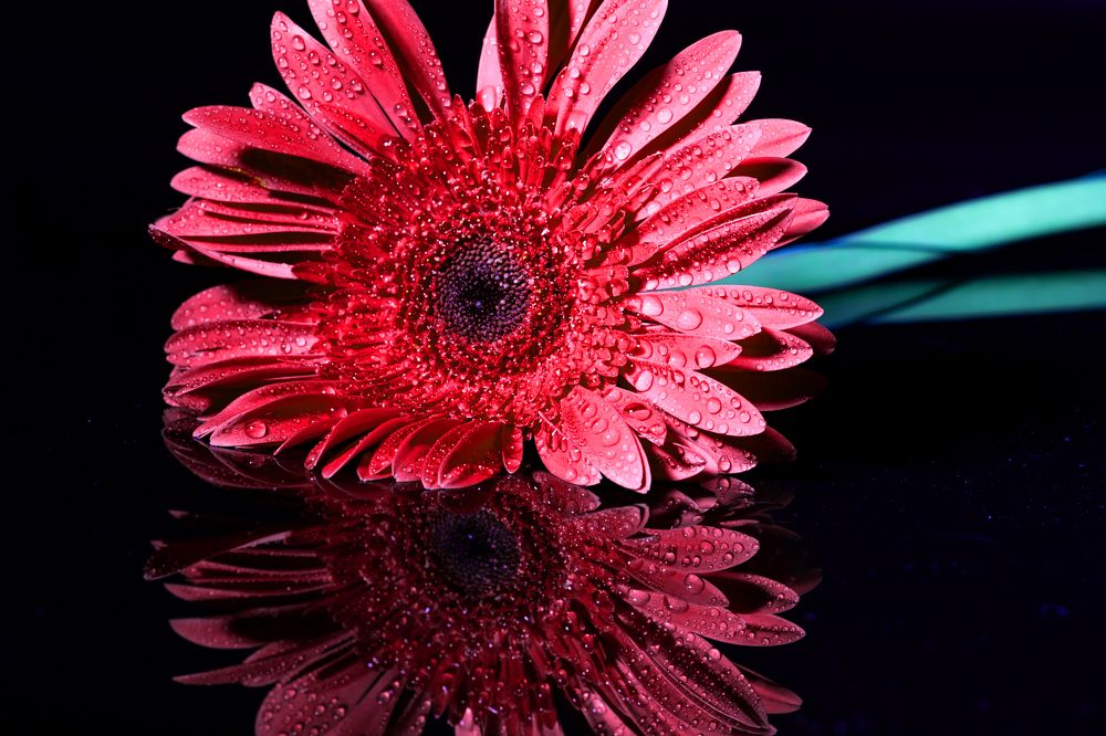 Photograph by Rahel Barenshtein