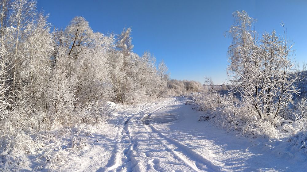 Photograph by Светлана Кондрашова