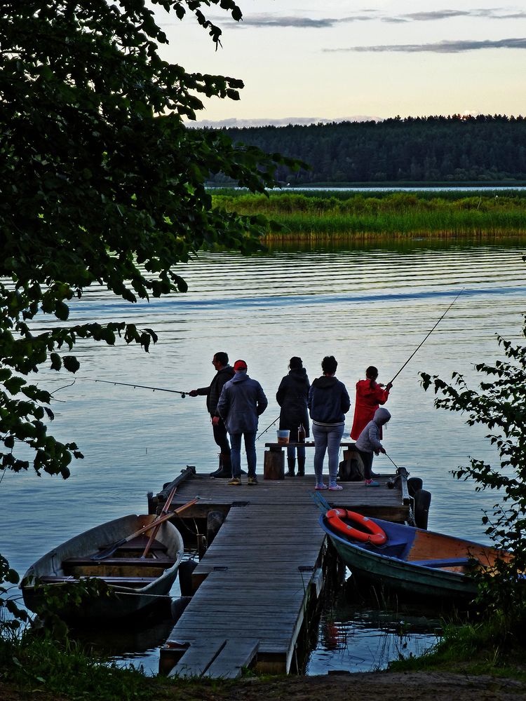 Фотография автора Алексей