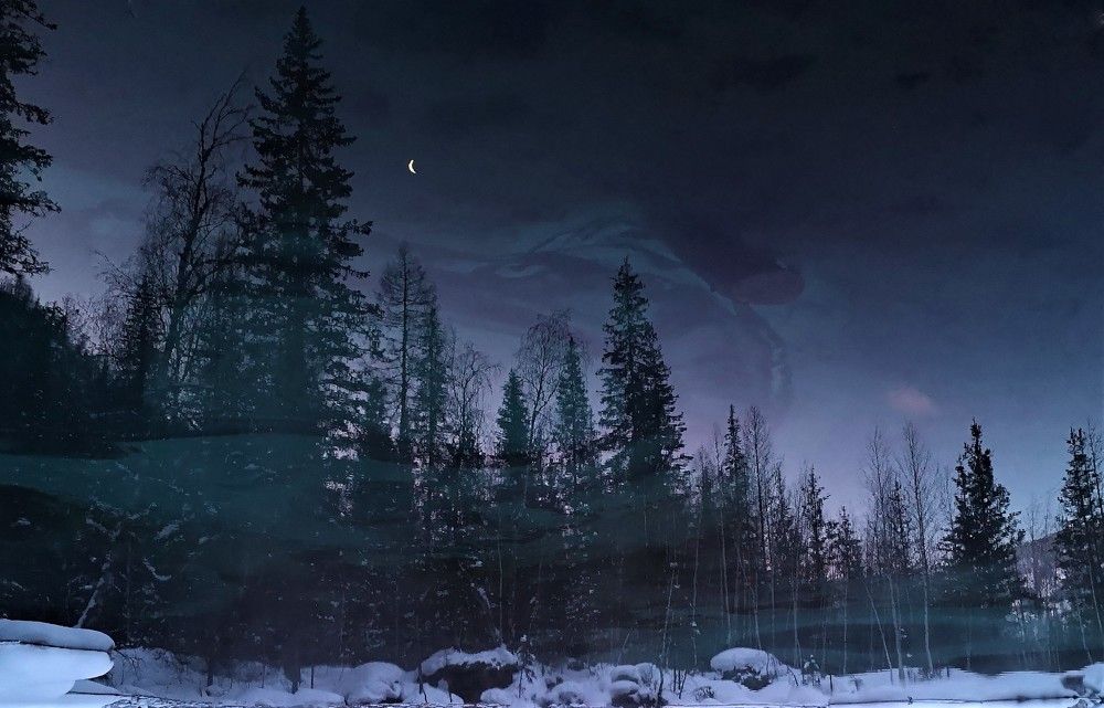 Photograph by Gromova