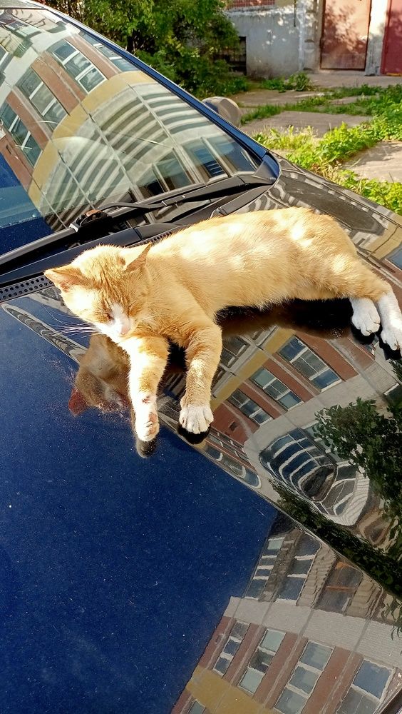 Photograph by Ирина Сафронова