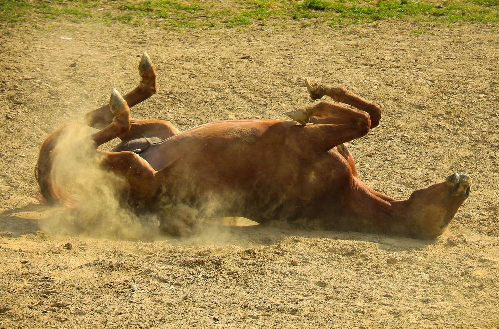 Photograph by Диана Бородзе