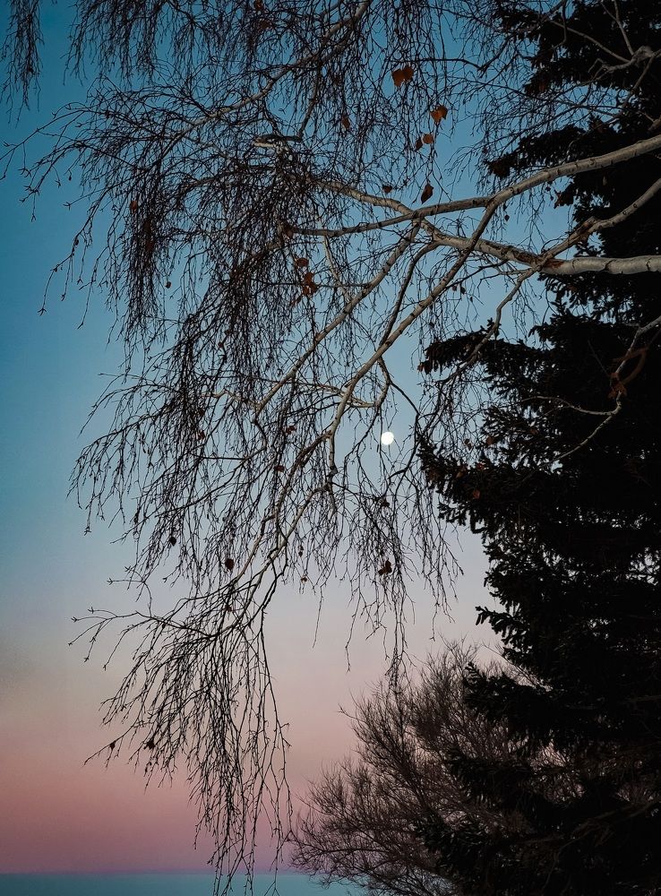 Зимнее утро