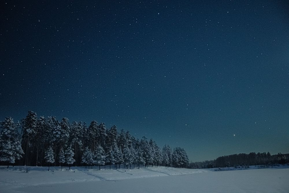 Фотография автора Alexander Komarov