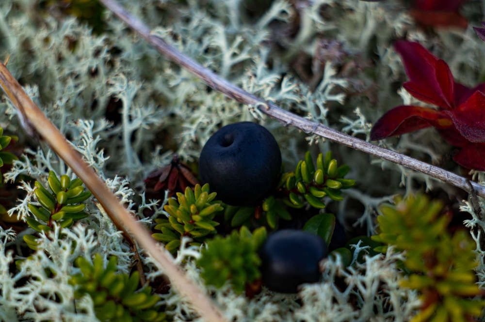 Photograph by Валерия Ушакова