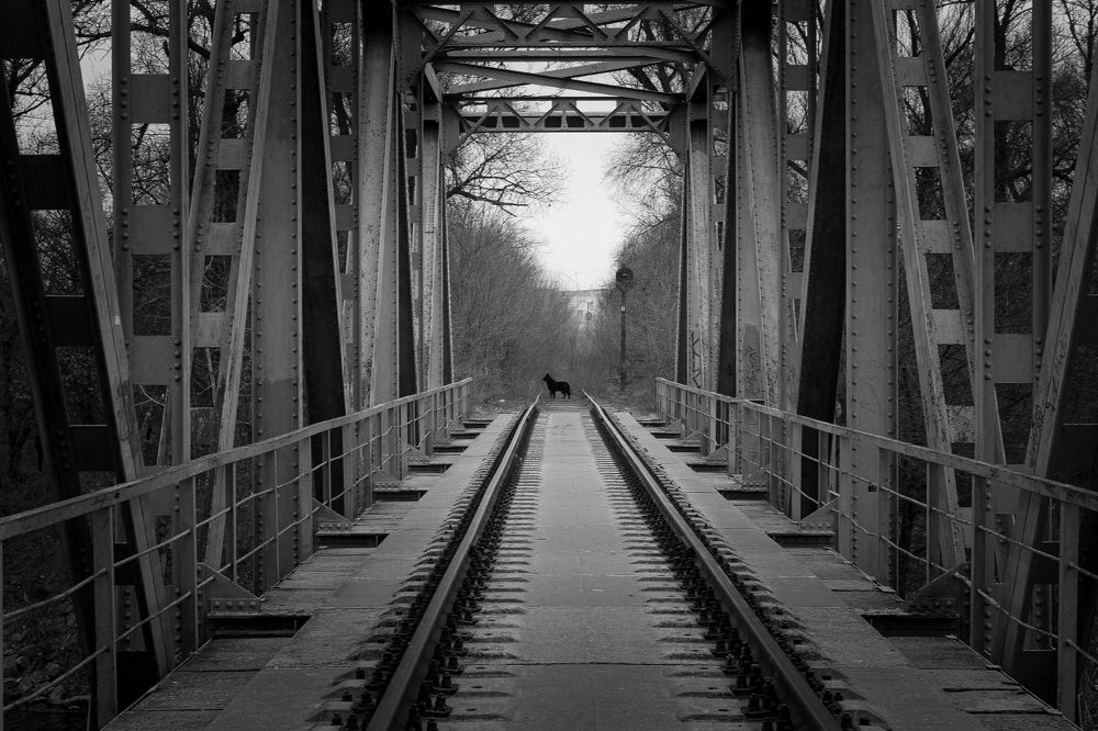 Photograph by Анна Хазова