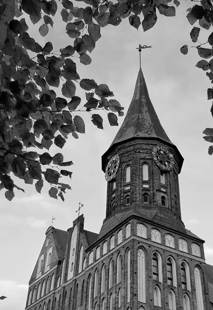 Кафедральный собор Кенигсберга.